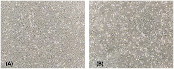 Figure 2