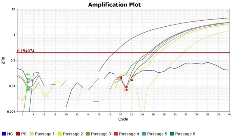 Figure 3