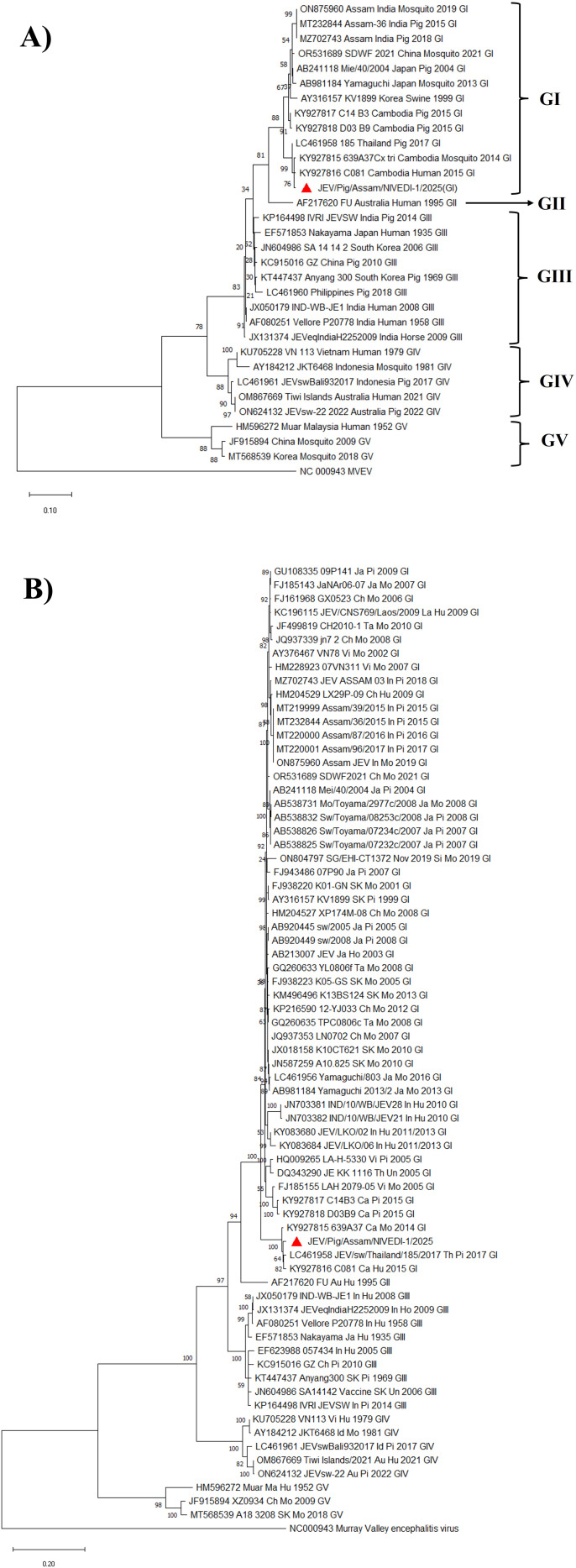 Figure 5