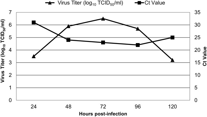 Figure 6