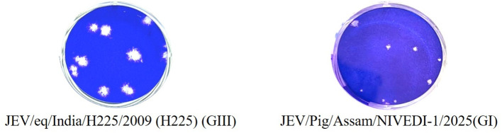 Figure 7