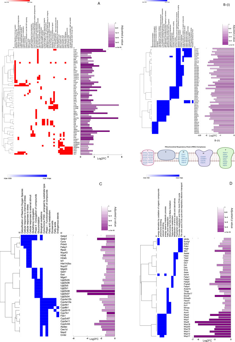 Figure 4