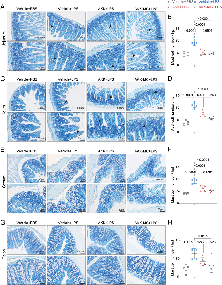 Figure 6