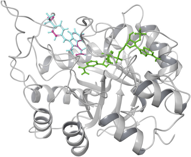 FIGURE 1