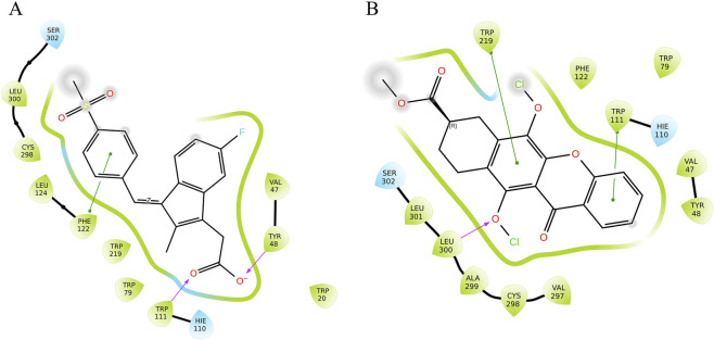 FIGURE 2