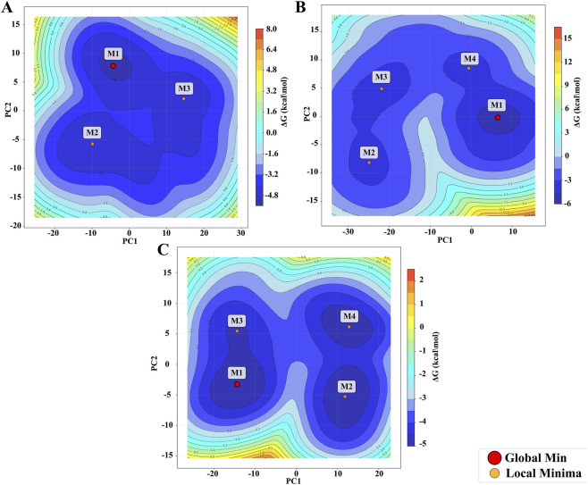 FIGURE 6