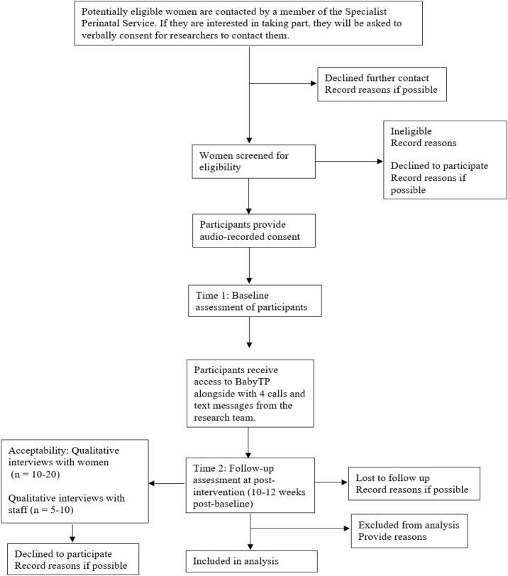 Figure 1