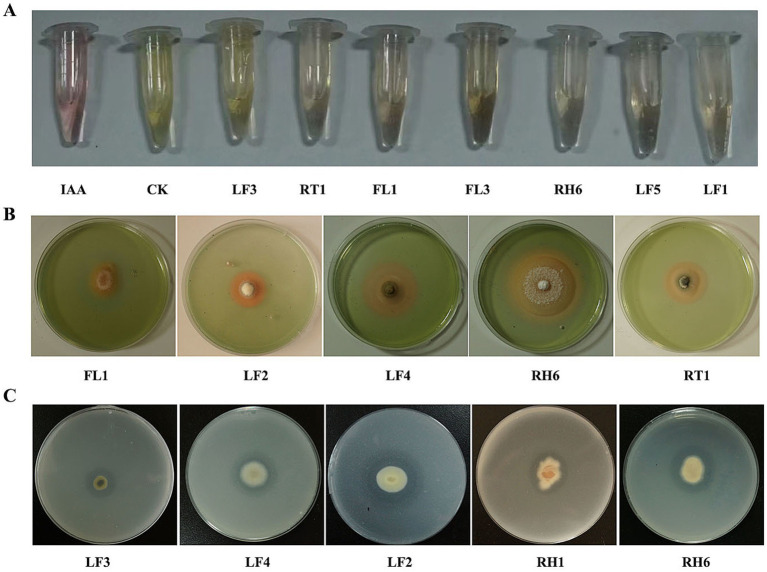 Figure 4