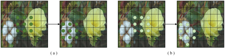 Figure 6
