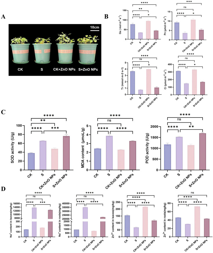 Figure 2