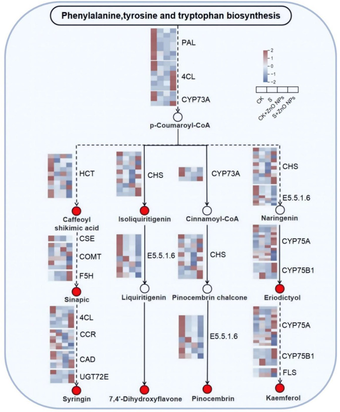 Figure 6