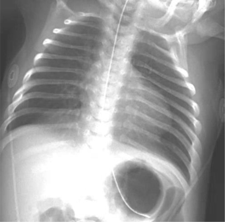 Figure 2