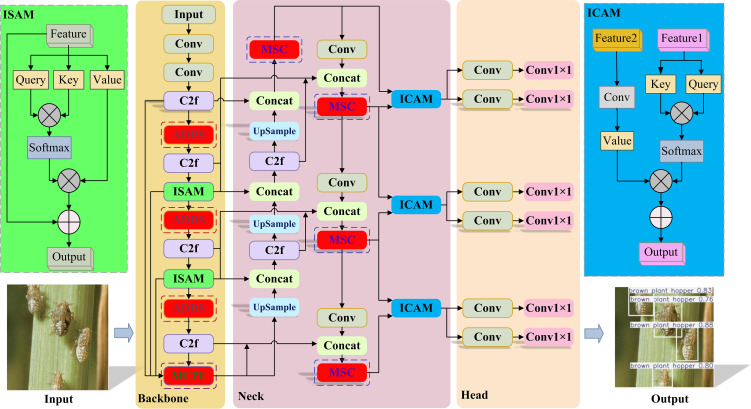 Figure 2