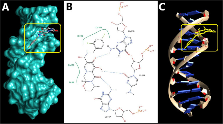 Figure 6