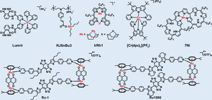 Figure 13