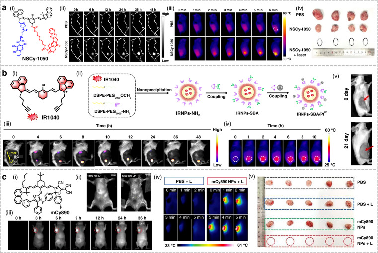 Figure 20
