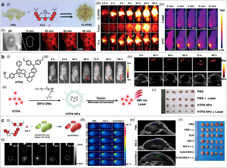 Figure 24