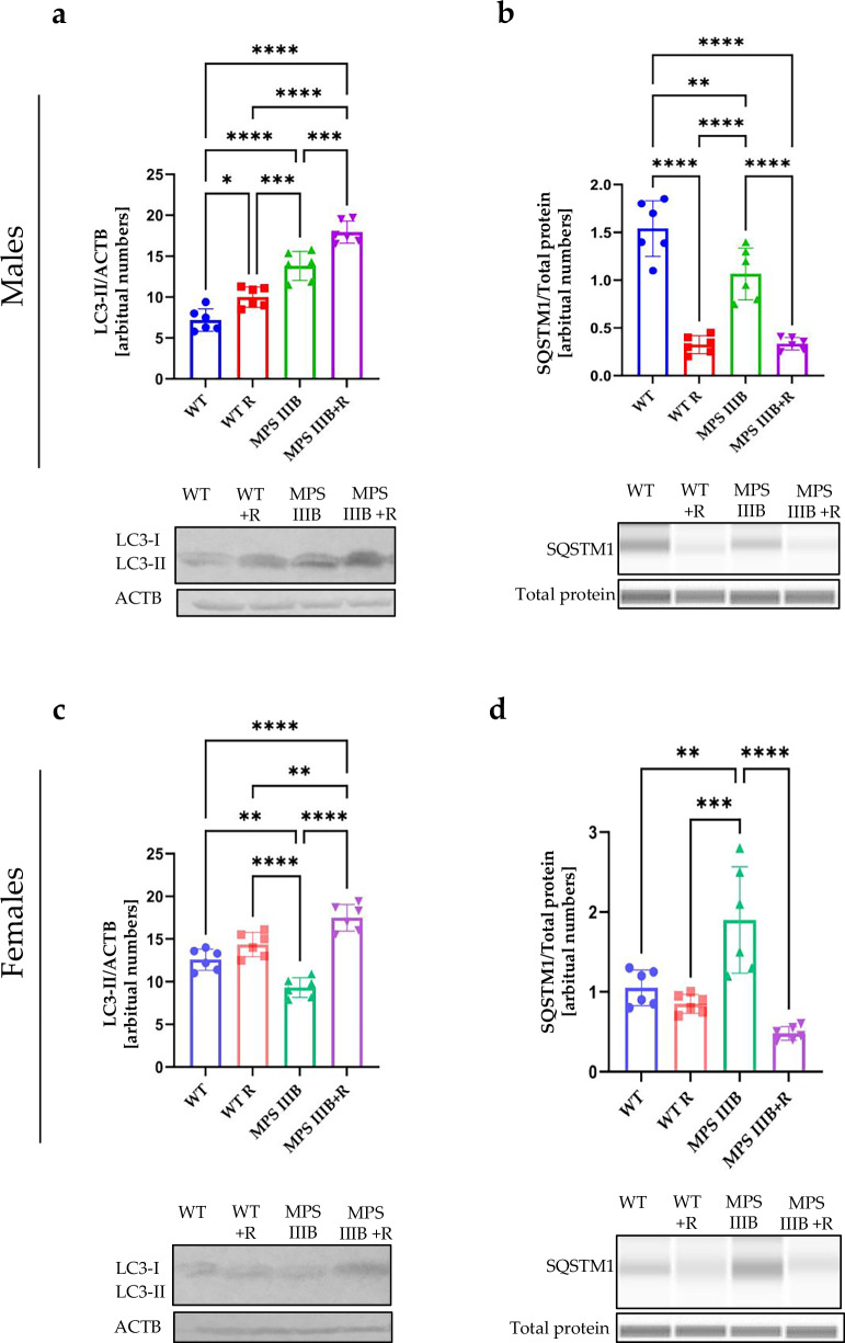 Figure 16