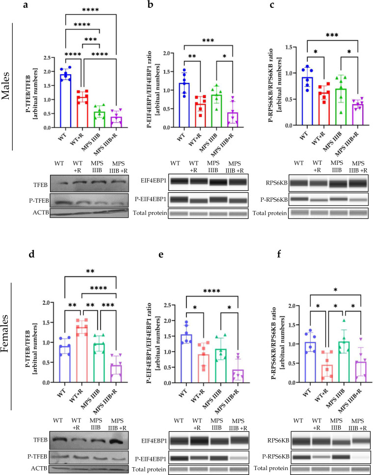 Figure 19