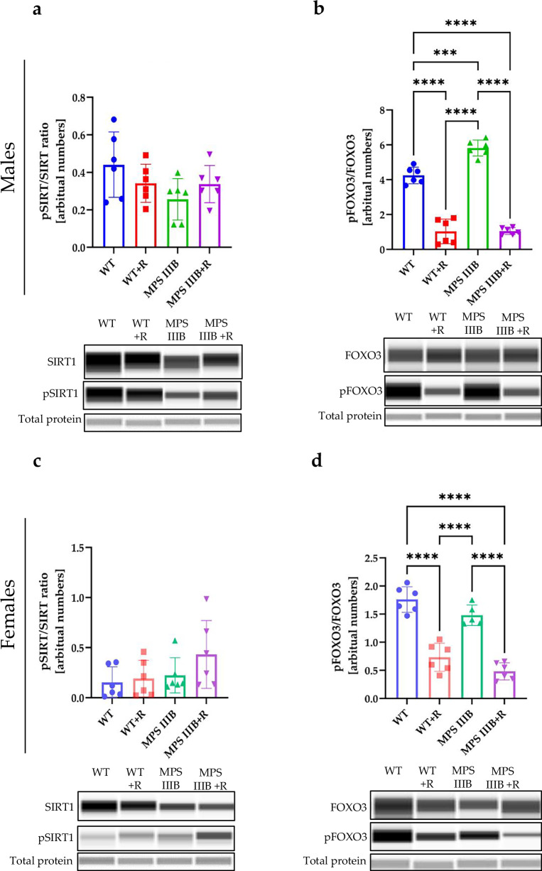 Figure 20