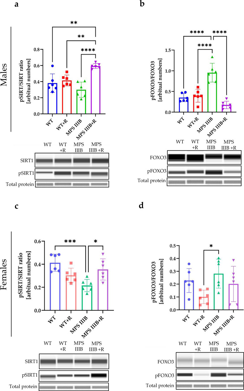 Figure 21