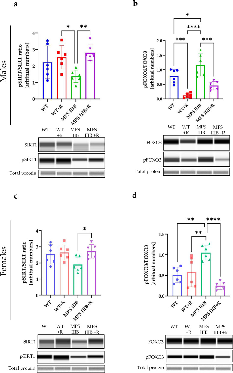 Figure 22