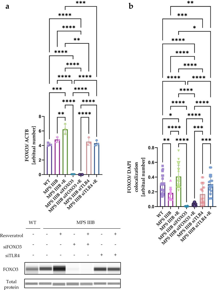 Figure 24