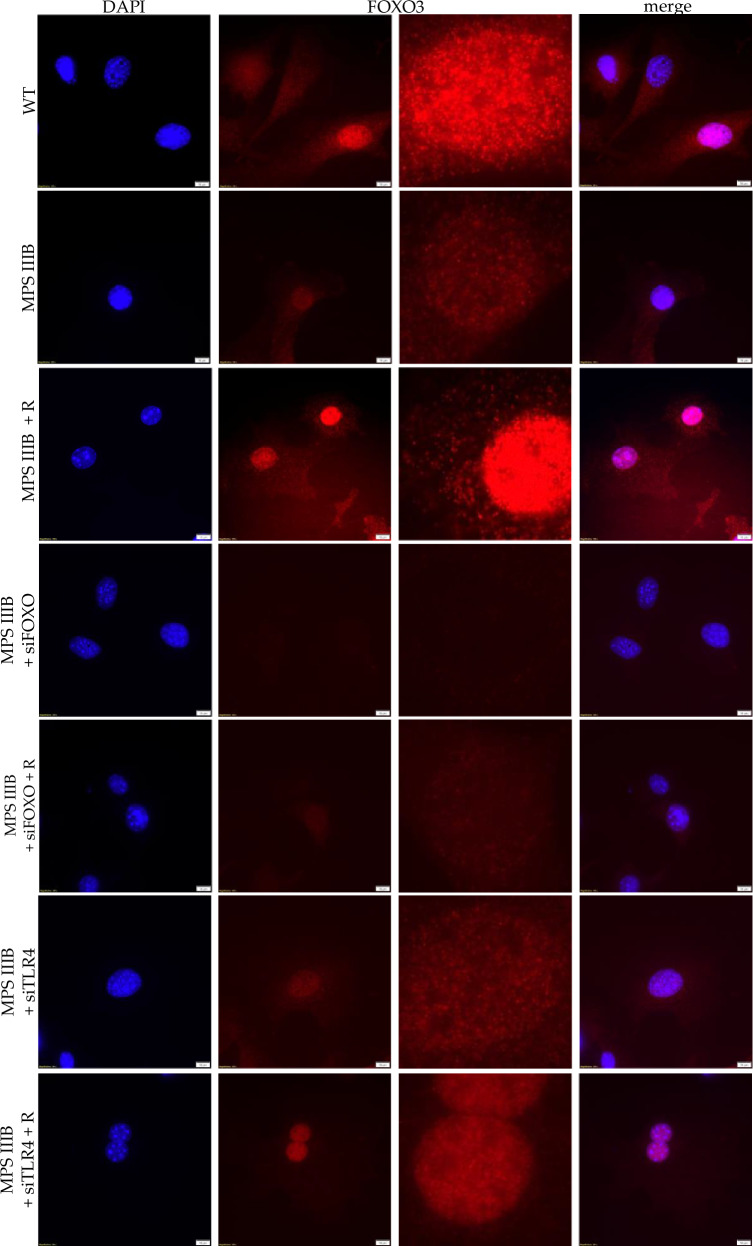 Figure 25