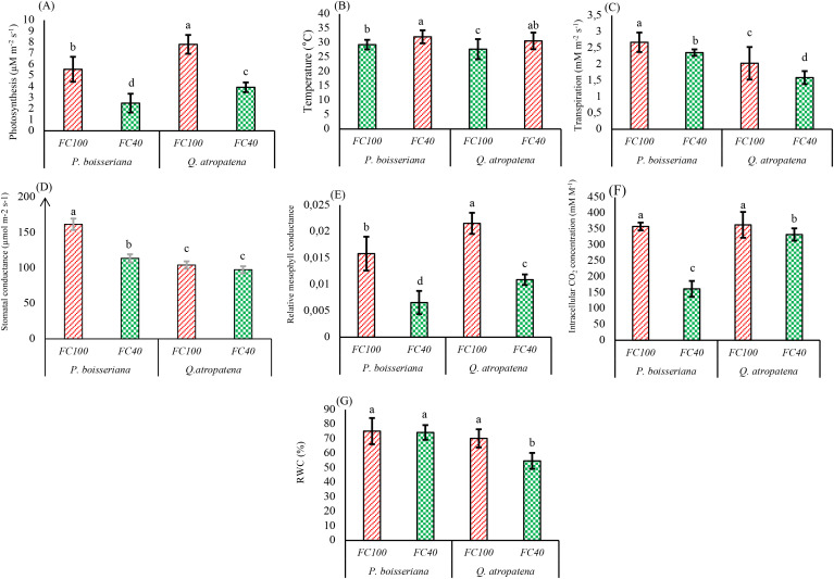 Figure 3