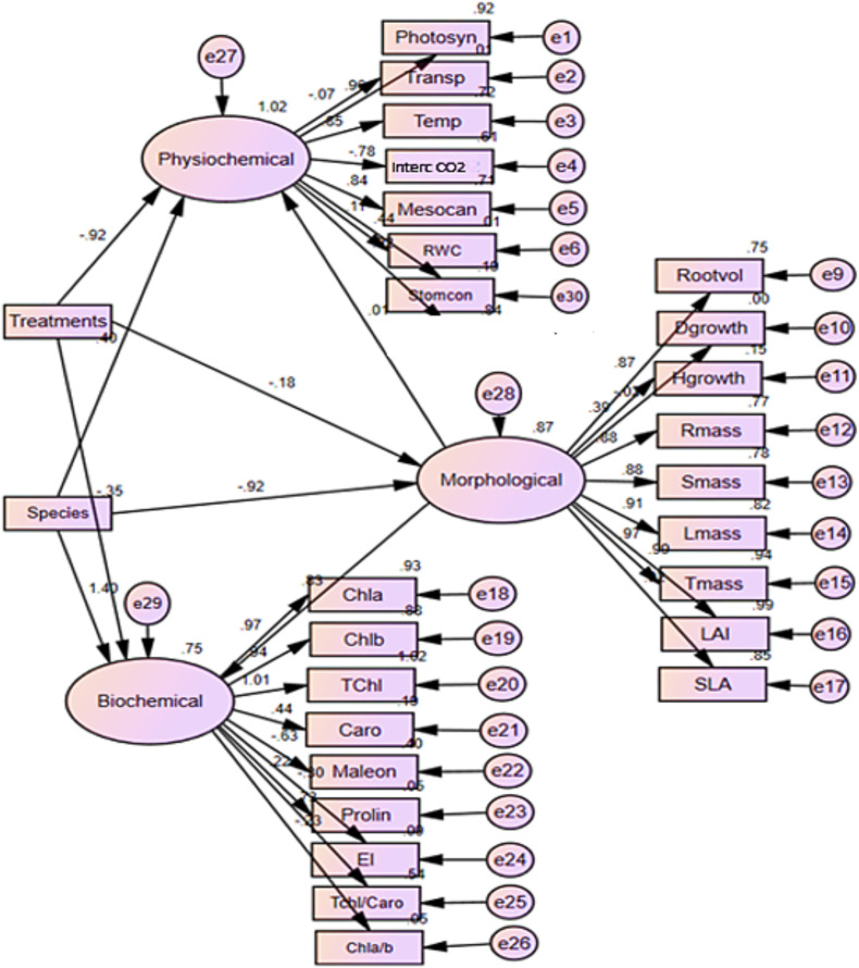 Figure 5