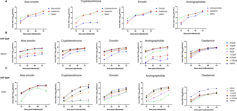 Figure 2