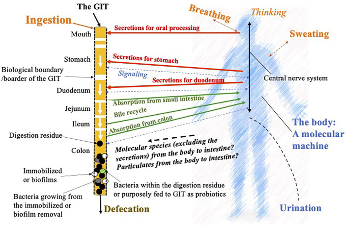 Figure 1