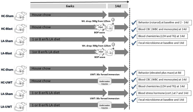Figure 1