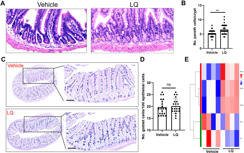 Figure 5