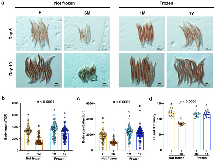 Figure 3