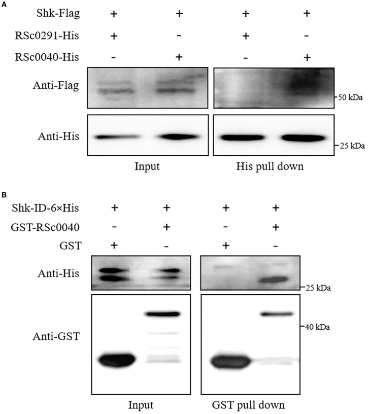 Figure 4