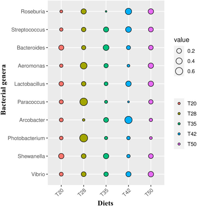 Figure 5
