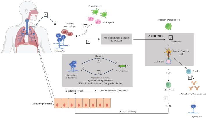 Figure 2