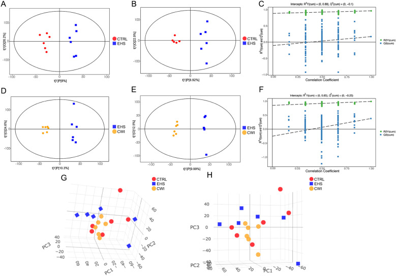 Figure 7