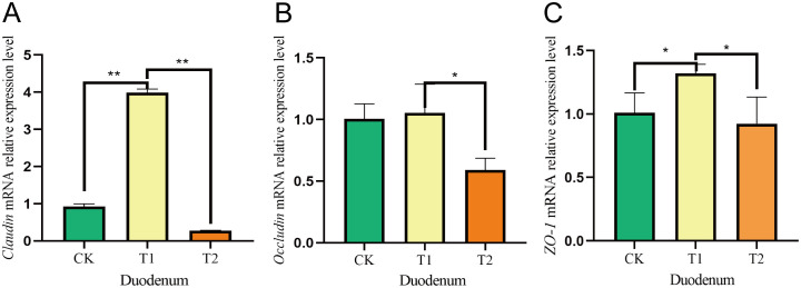 Figure 5