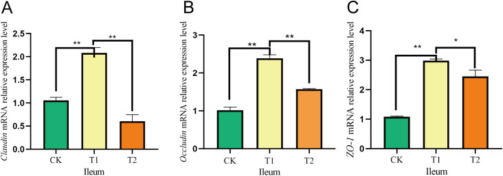 Figure 6