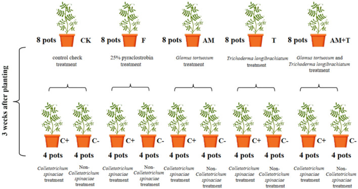 Figure 1