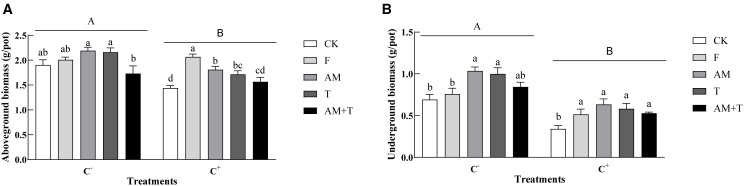 Figure 5