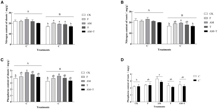 Figure 6