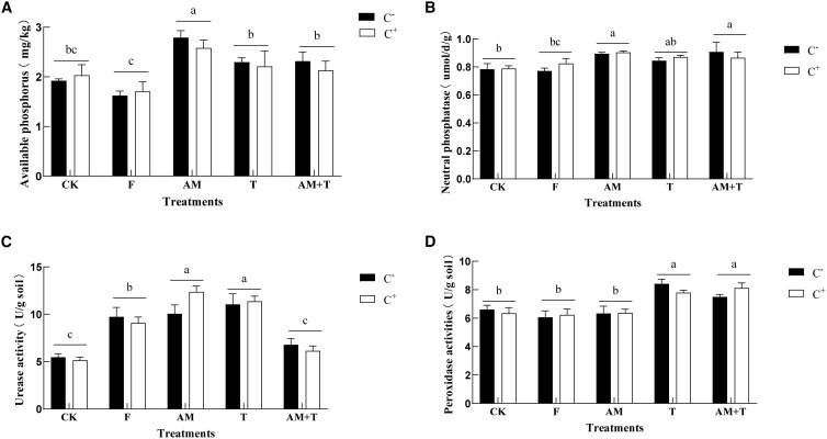 Figure 7