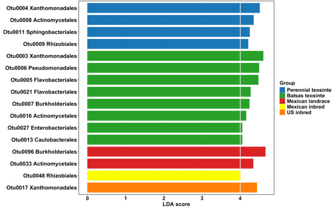 Figure 7