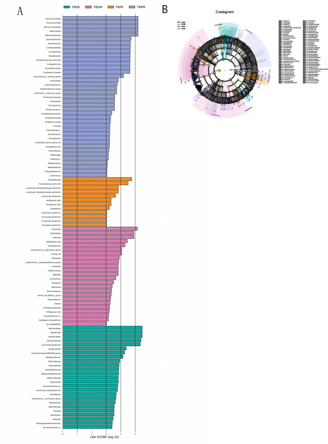 Figure 5