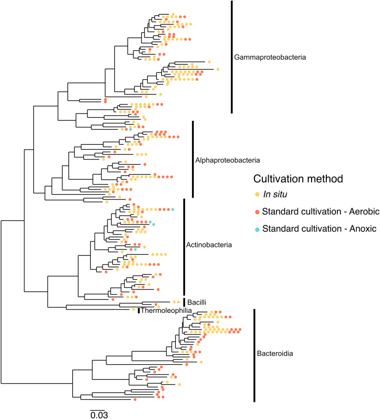 Figure 6