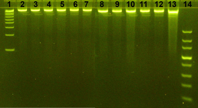 Figure 1
