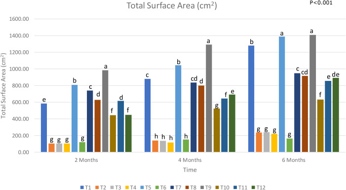 Figure 6
